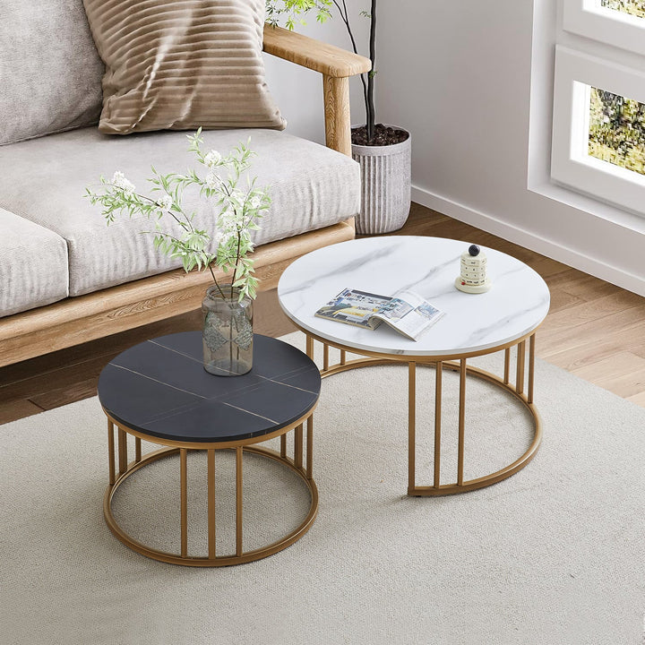 Lepore Marble Nesting Coffee Table Set - Clipop Furniture