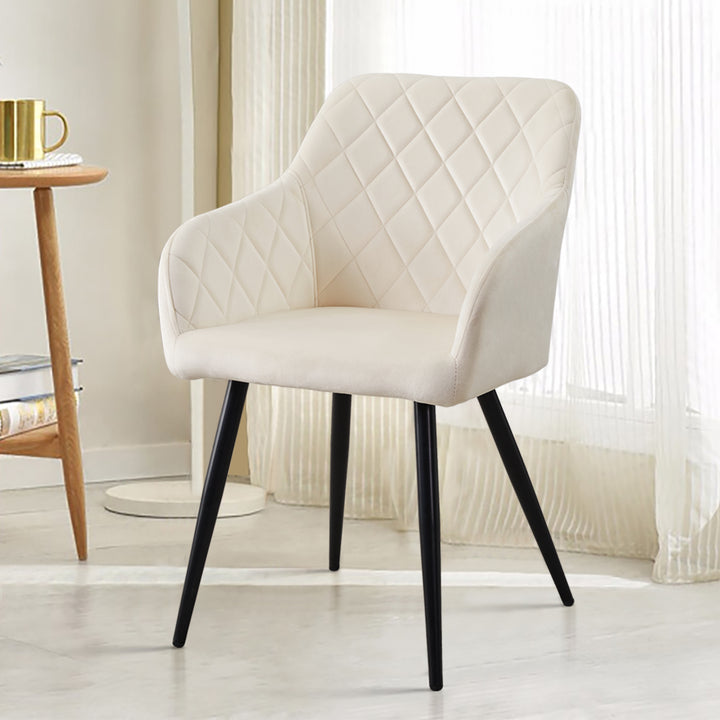Moree Dining Chairs [Velvet] [Set of 2]