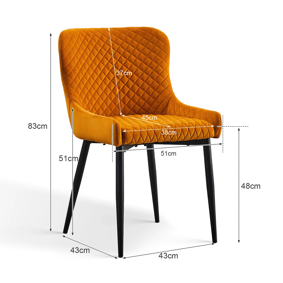 Dundas Velvet Dining Chairs [Set of 2]