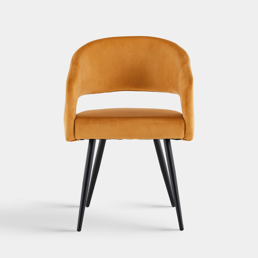 Hammis Dining Chairs [Set of 2]  [Velvet]