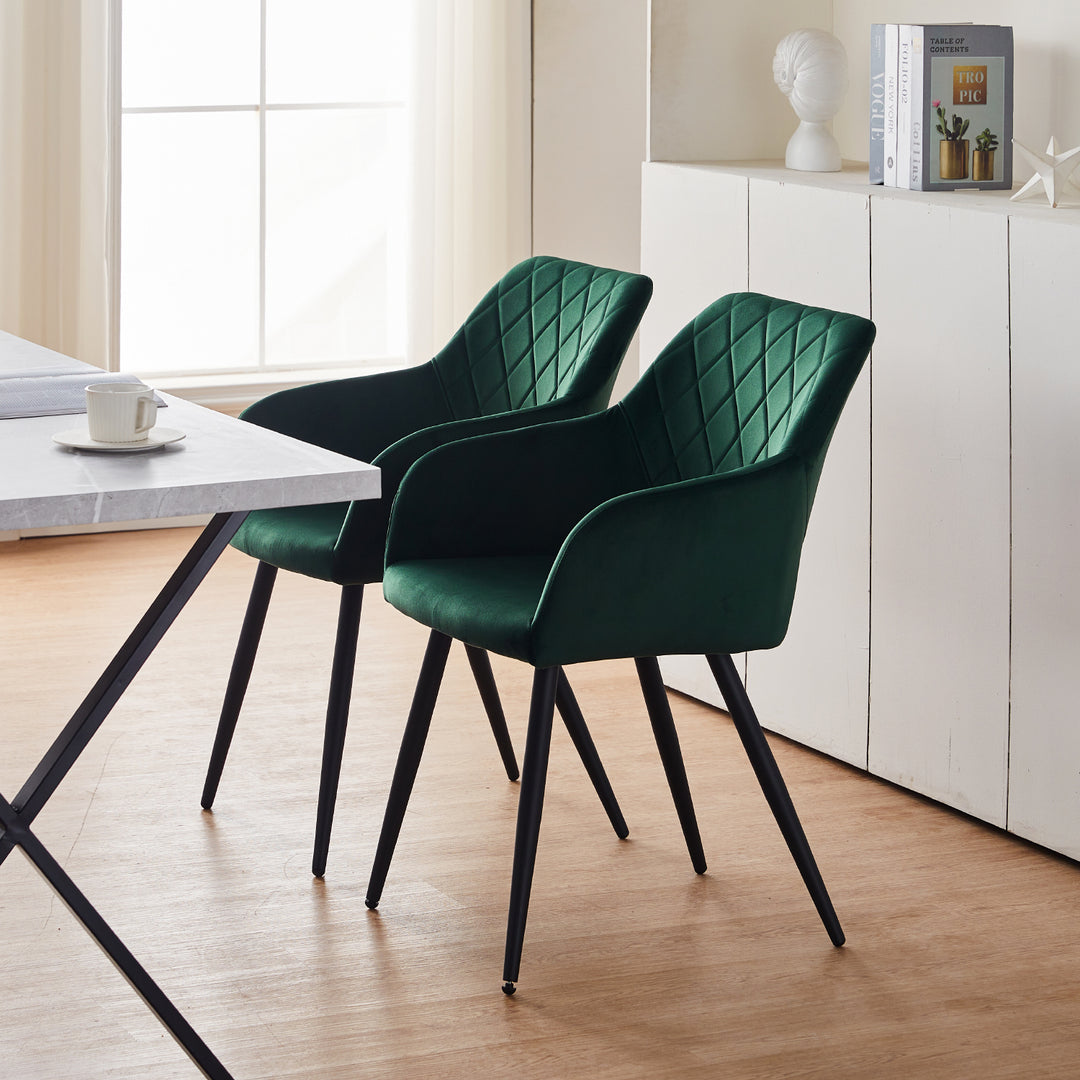 Kieran Dining Chairs [Set of 2] [Velvet]