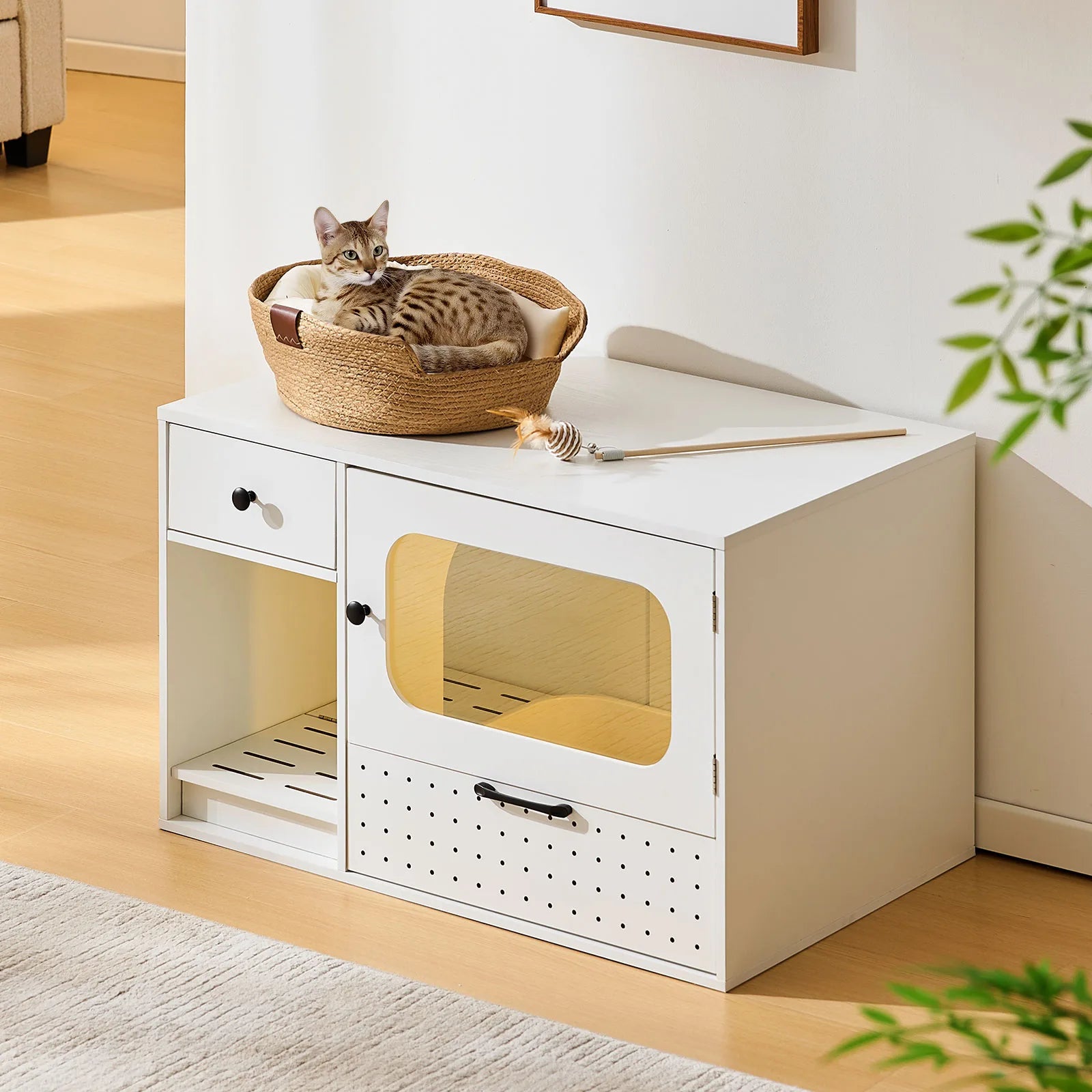 Clipop Furniture