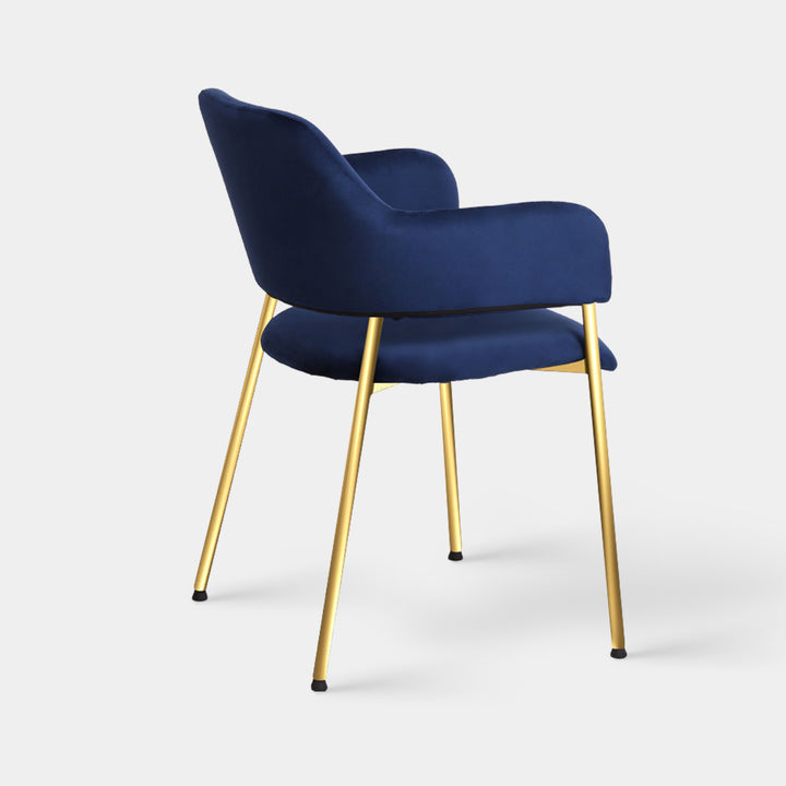 Lukka Dining Chairs [Set of 2] [Velvet]