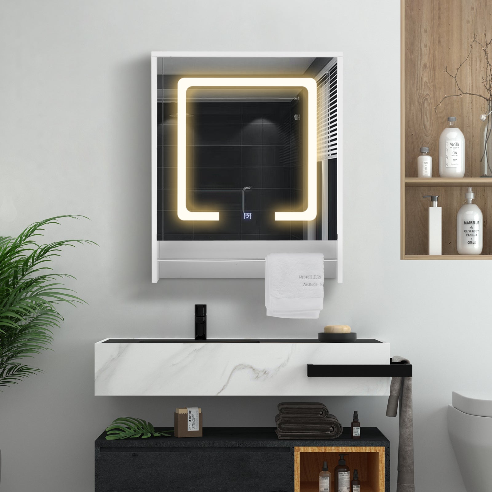 Clipop Bathroom Mirror Cabinet with Lights Wall Mounted 1 Door