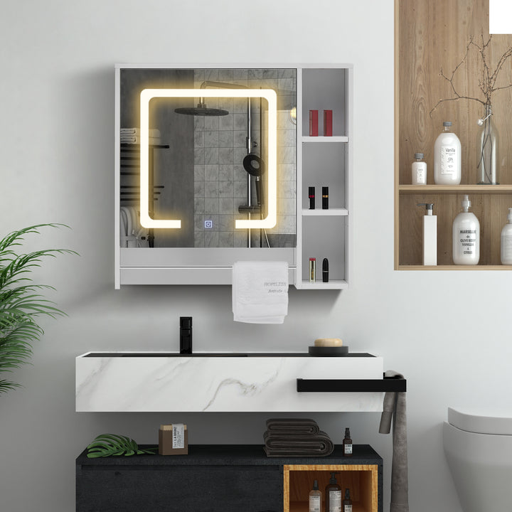 Tavion Bathroom Mirror Cabinet with Lights [1 Door+3 Shelves]